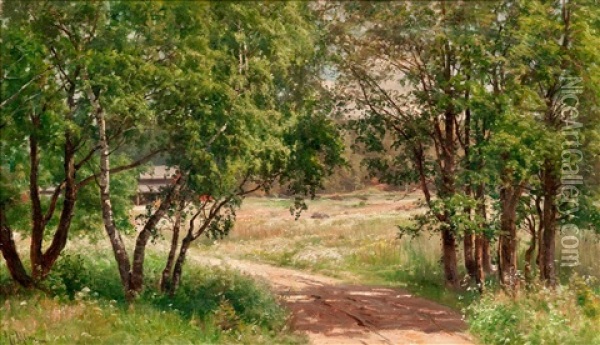 Birches In Summer Oil Painting - Magnus Hjalmar Munsterhjelm