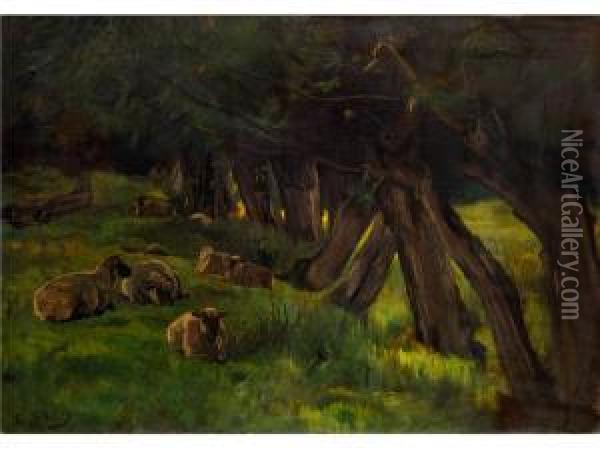 Schafe Unter Baumen Auf Gruner Wiese Oil Painting - Charles Richard Tooby
