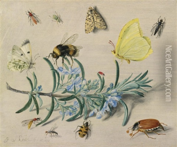 A Still Life Study Of Insects On A Sprig Of Rosemary With Butterflies, A Bumble Bee, Beetles And Other Insects Oil Painting - Jan van Kessel the Elder