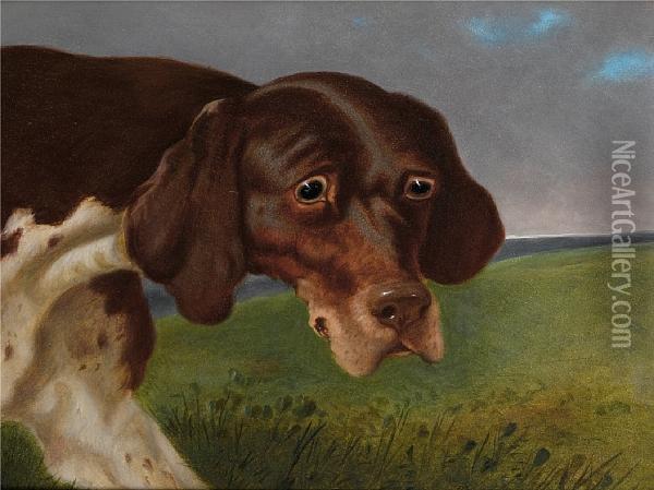 A Portrait Of A Brown And White Pointer; A Portrait Of A Black And White Pointer Oil Painting - John Dalby Of York