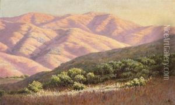 Sun's Last Rays, Marin County,california Oil Painting - Louis Edward Rea