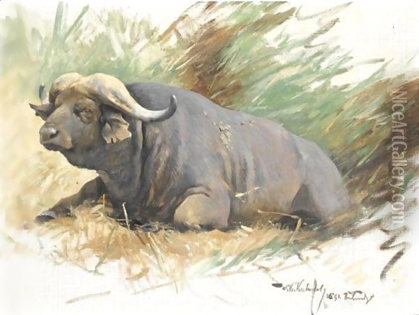 Study Of A Buffalo Oil Painting - Wilhelm Kuhnert