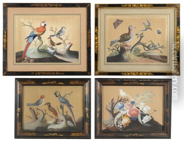 Foreign And Domestic Birds (set Of 4) Oil Painting - Samuel Dixon