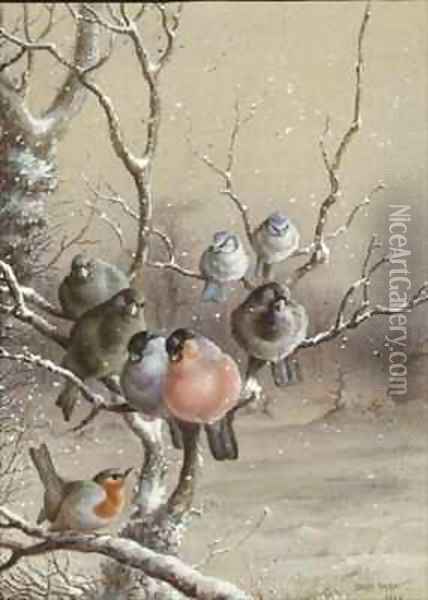 Birds on a Snowy Branch Oil Painting - Harry Bright