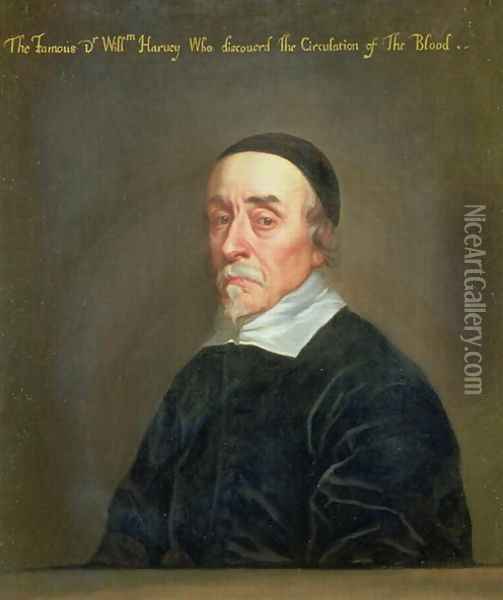Portrait of William Harvey 1578-1657 Oil Painting - John Riley