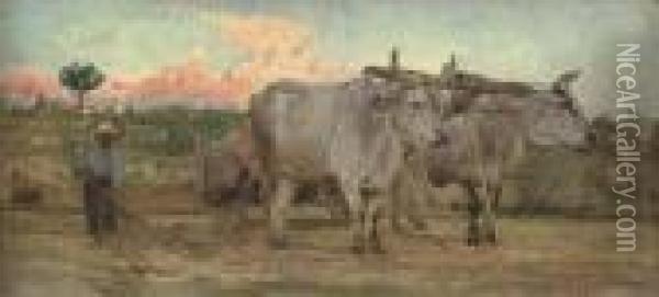 Oxen In The Tuscan Countrside Oil Painting - Giovanni Boldini