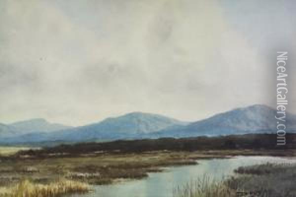 Bog Landscape Oil Painting - Douglas Alexander