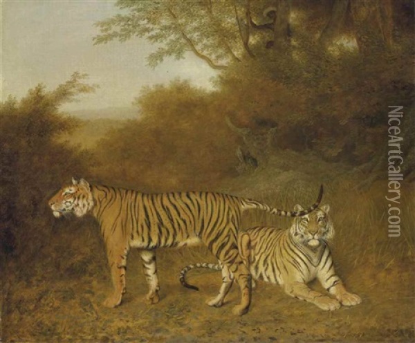 Two Bengal Tigers In An Savannah Landscape, With A Man In A Tree Oil Painting - Jacques-Laurent Agasse