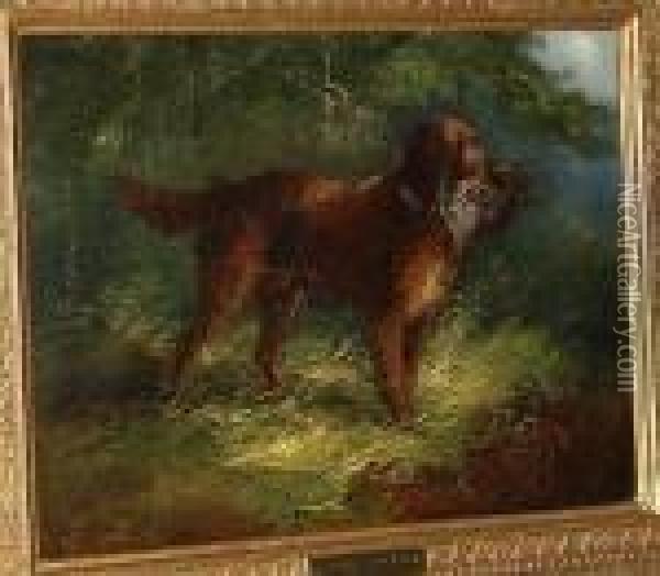 Gun Dog With A Partridge Oil Painting - George Armfield