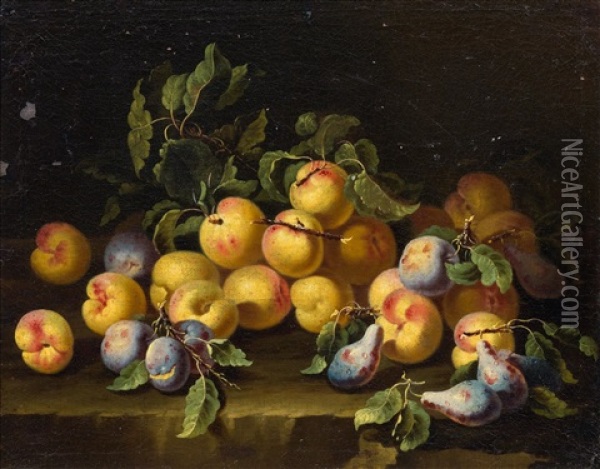 Fruit Still Life With Plums Oil Painting - Bartolomeo Castelli the Younger