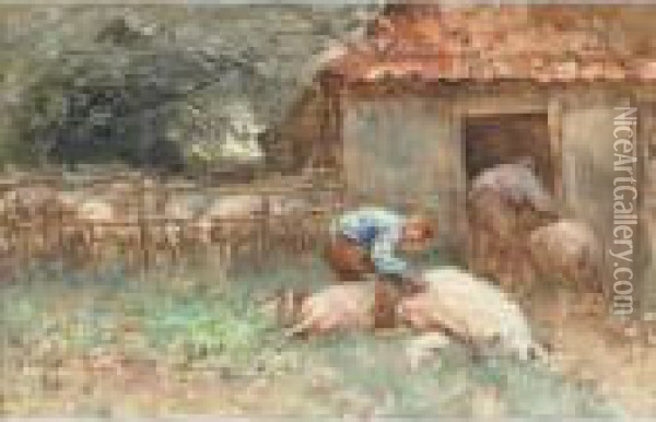 Shearing Sheep On The Farm Oil Painting - Willem Van Der Nat