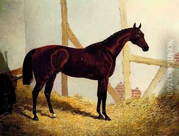 Mr. John Bowe's Bay Colt Cotherstone, by Touchstone out of Emma, in a loosebox Oil Painting - John Frederick Herring Snr