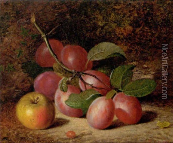 Plums And An Apple On A Mossy Bank Oil Painting - Charles Archer