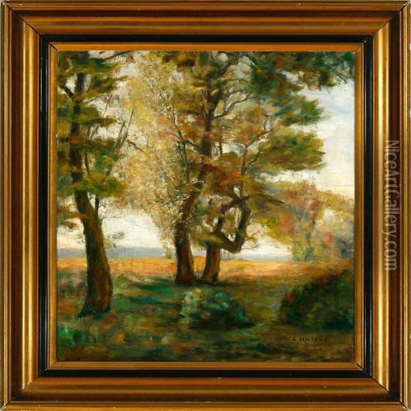 Tall Trees With Fields Inthe Background Oil Painting - Carl Vilhelm Holsoe