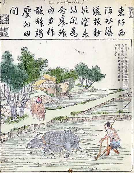 Rice cultivation in China (2) Oil Painting - Anonymous Artist