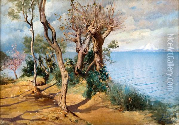Il Vesuvio Innevato Visto Da Capri Oil Painting - Paolucci Goffredo Sinibaldi
