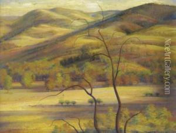 Wantabadgery Landsacpe Oil Painting - Eric Wilson