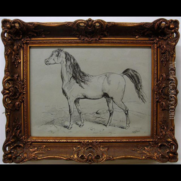 Horse Studies Oil Painting - Hermanus Willem Koekkoek