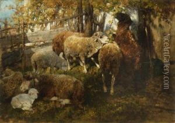 Schafe Vor Dem Weidenzaun Oil Painting - Heinrich Johann Von Zugel