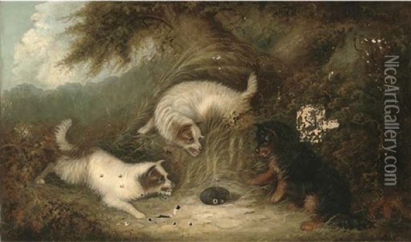 Terriers With A Hedgehog Oil Painting - J. Langlois