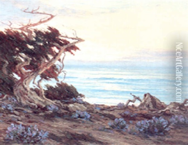 Cypress Point Monterey Oil Painting - Roi Clarkson Colman