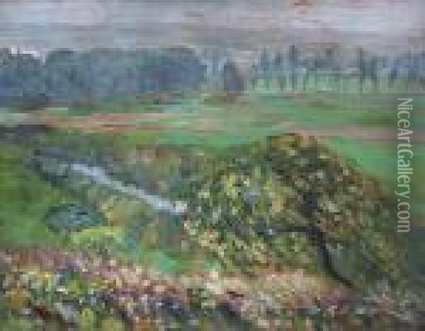Krajina S Rickou Oil Painting - Karel Bohacek