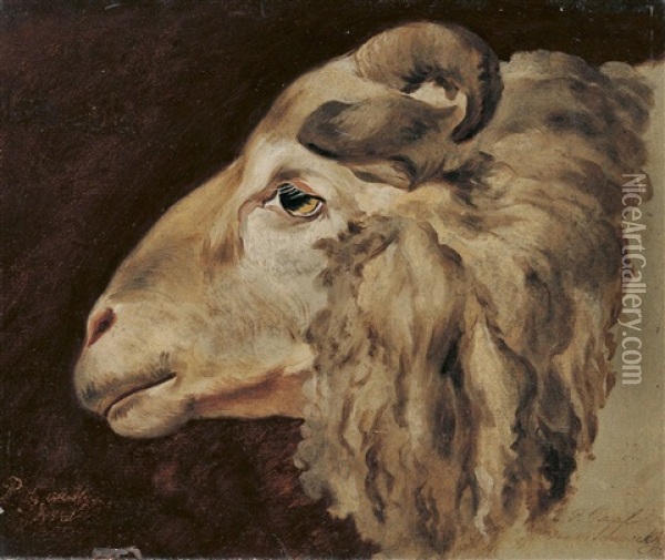 Studie Eines Widderkopfs Oil Painting - Pieter Gaal