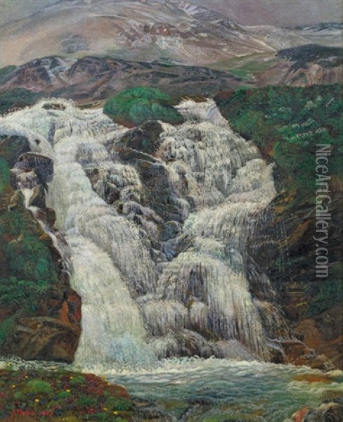 Gebirgswasserfall Oil Painting - Karl Mediz