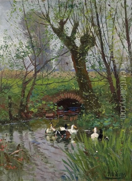 Ducks At A Creek Oil Painting - Adolf Lins