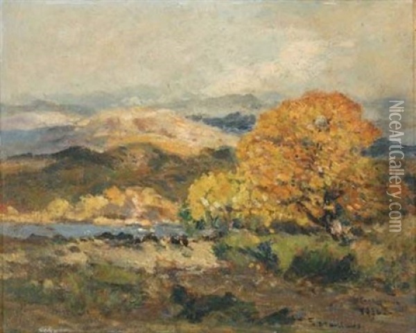 Rivage Aux Collines, Environs De Hyeres Oil Painting - Fernand Maillaud