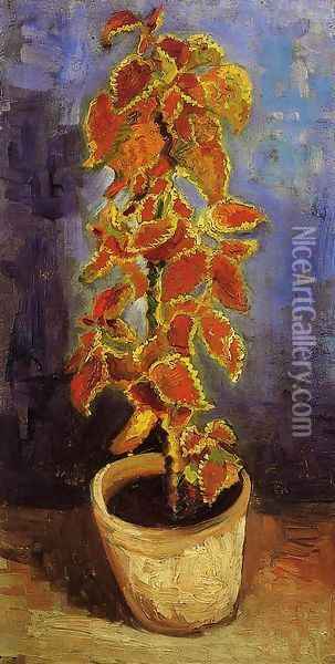 Coleus Plant In A Flowerpot Oil Painting - Vincent Van Gogh