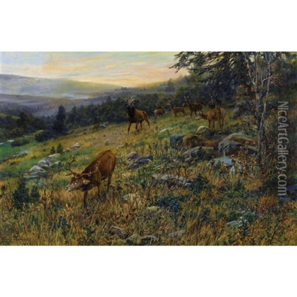Hirschrudel Am Waldrand Oil Painting - Hans W. Schmidt