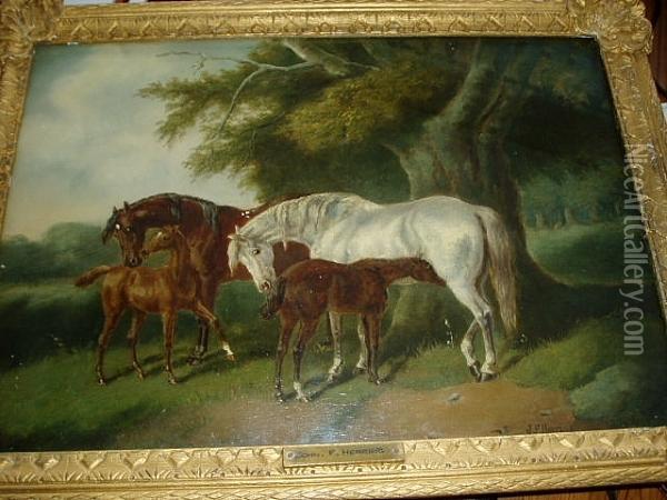 Mares And Foals Oil Painting - John Frederick Herring Snr