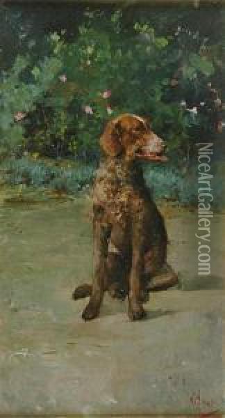 Portrait Of A German Wirehaired Pointer Oil Painting - Vincenzo Irolli