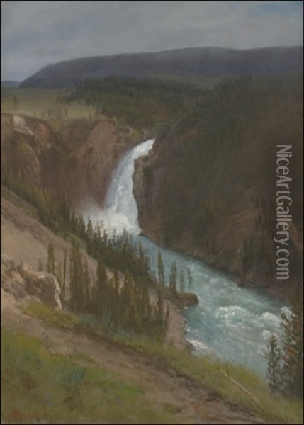 Upper Falls, Yellowstone Park Oil Painting - Albert Bierstadt
