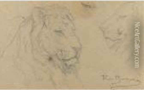 Studies Of A Lion's Head Oil Painting - Rosa Bonheur
