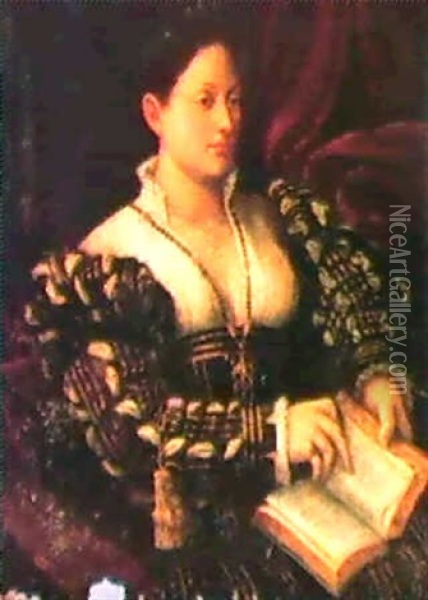 Portrait Of A Lady In Elegant Dress Oil Painting - Francesco di Marco India Torbido
