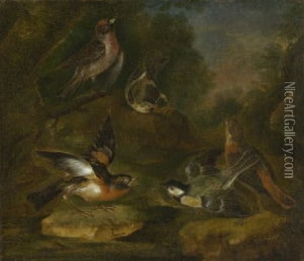 Waldstuck Mit Vogeln Oil Painting - Philipp Ferdinand de Hamilton