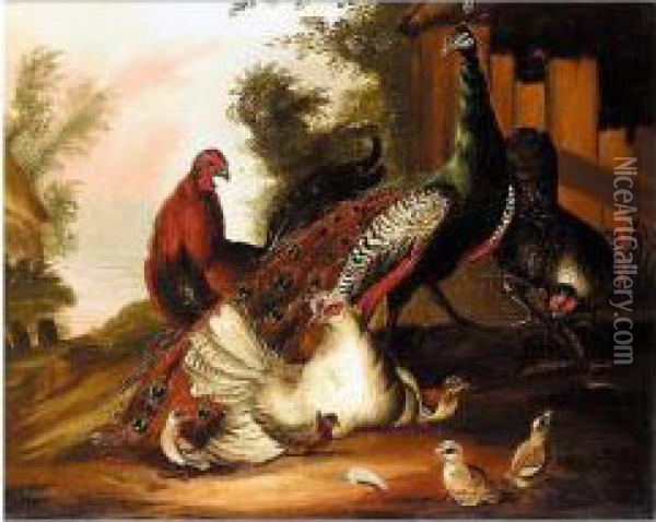Peacock And Poultry In A Landscape Oil Painting - J. Stuart