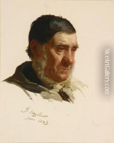 Portrait Of Bearded Man Oil Painting - James Hayllar