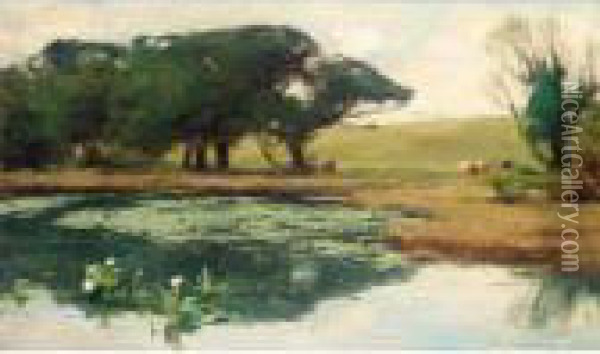 A Lily Pond In The Park, Castle Kennedy, Stranraer Oil Painting - David Farquharson