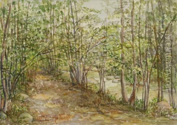 Path Along A Stream Through The Woods Oil Painting - Willard Leroy Metcalf