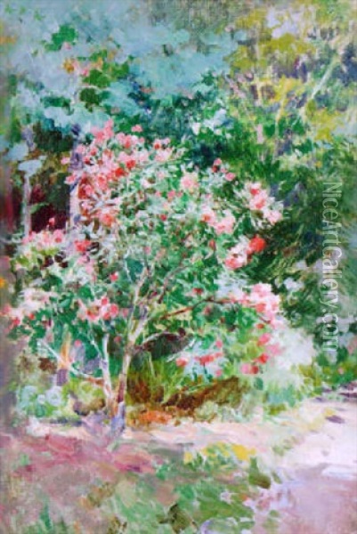 A Garden Scene Oil Painting - Paolo Sala