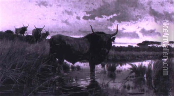 Bison At The River Oil Painting - Pietro Barucci