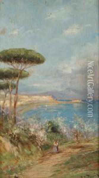 Veduta Del Golfo Oil Painting - Giovanni Pagliarini