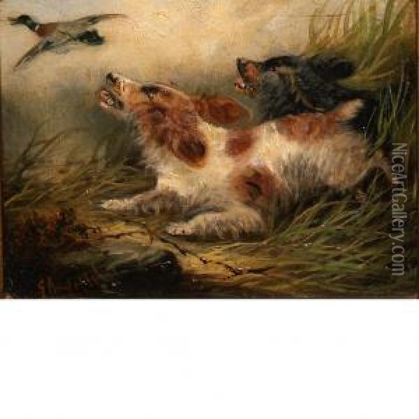 Spaniels Flushing A Mallard Duck Oil Painting - George Armfield