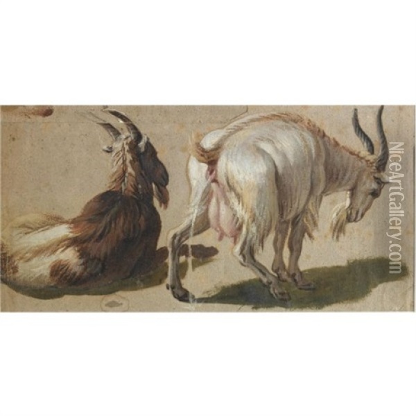 Two Goats (study) Oil Painting - Alexandre Francois Desportes