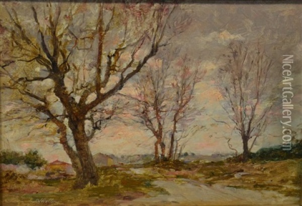 Plateau Des Lauves A Aix-en-provence Oil Painting - Barthelemy Niollon