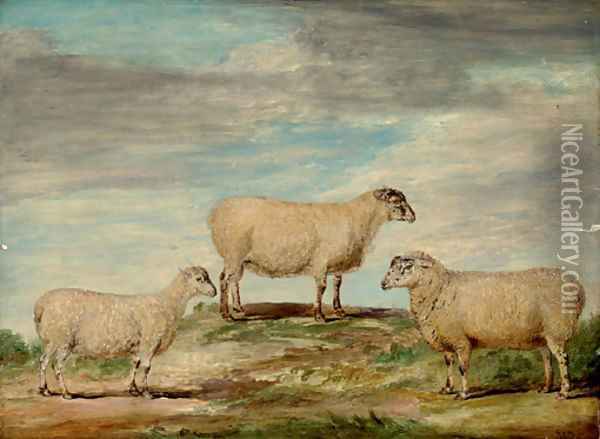 Elman's South Down Ram Oil Painting - James Ward