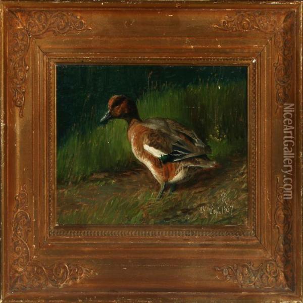 A Duck On Sunday The 24th Of September 1907 Oil Painting - Niels Peter Rasmussen